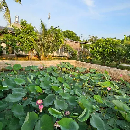 Homestay Sen&Zen Villa Vũng Tàu